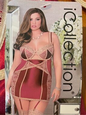 NWT iCollection Lingerie
